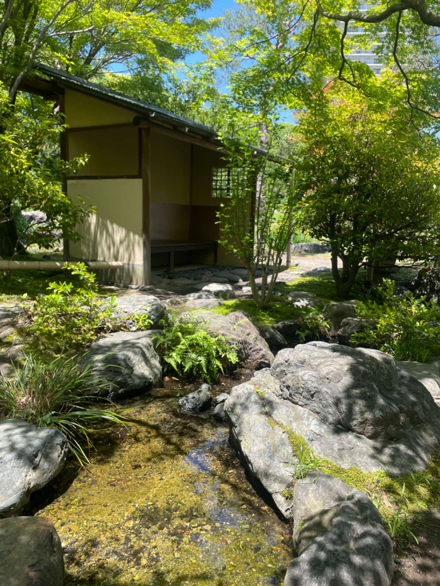癒しの日本庭園